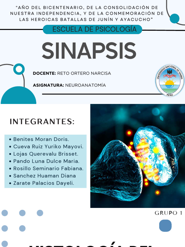 Grupo ## - Histología Del SN Sinapsis | PDF | Sinapsis | Neurona