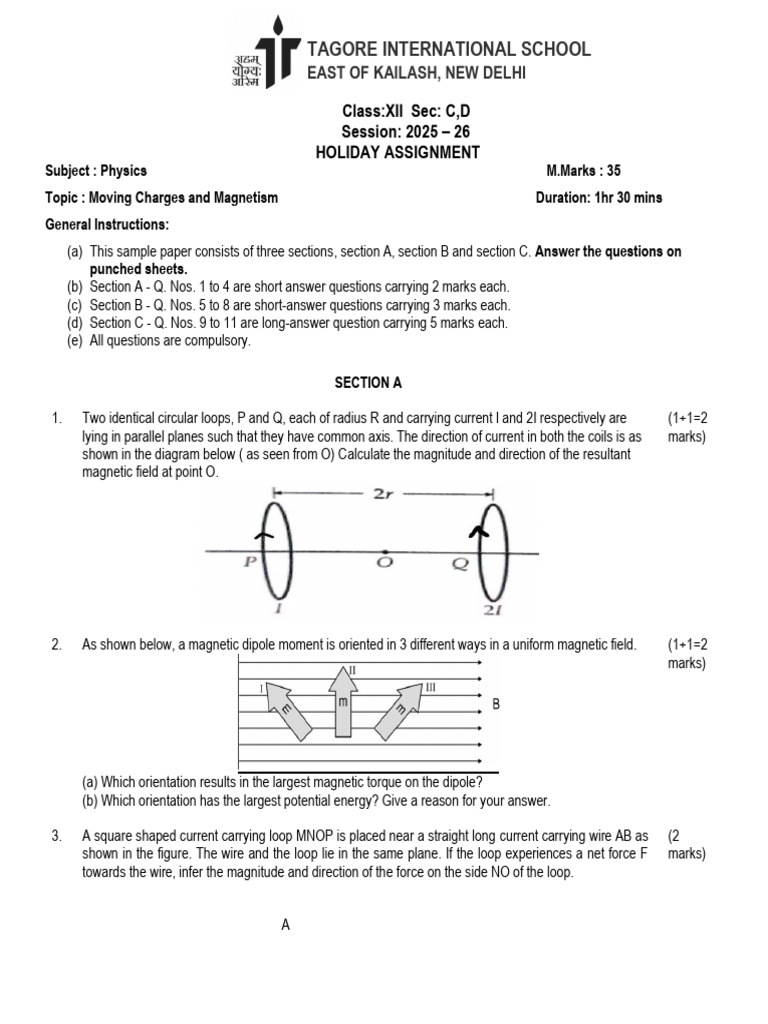 Physics Holiday Assignment: Magnetism | PDF | Quantity | Physical Phenomena