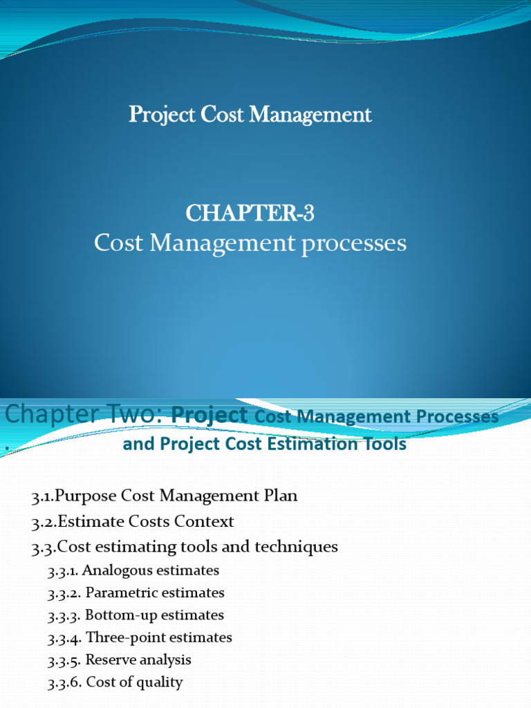 Project Cost Management Techniques | PDF | Cost Accounting | Risk