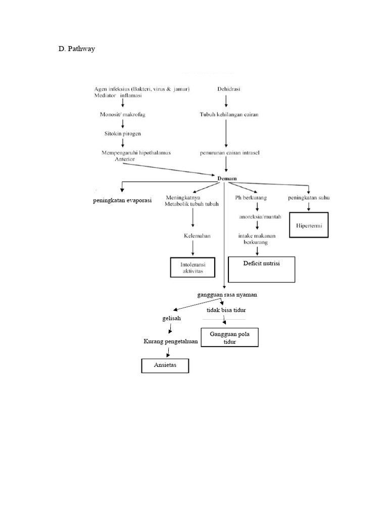 Patway Febris | PDF