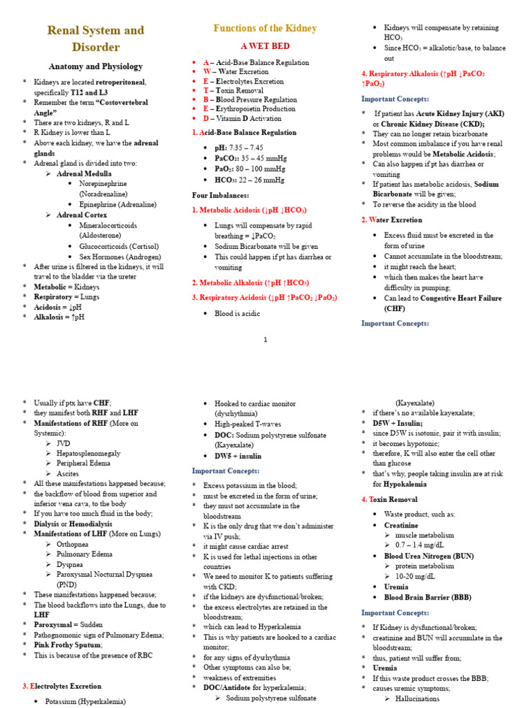 Renal System Anatomy and Functions | PDF | Angiotensin | Adrenal Gland