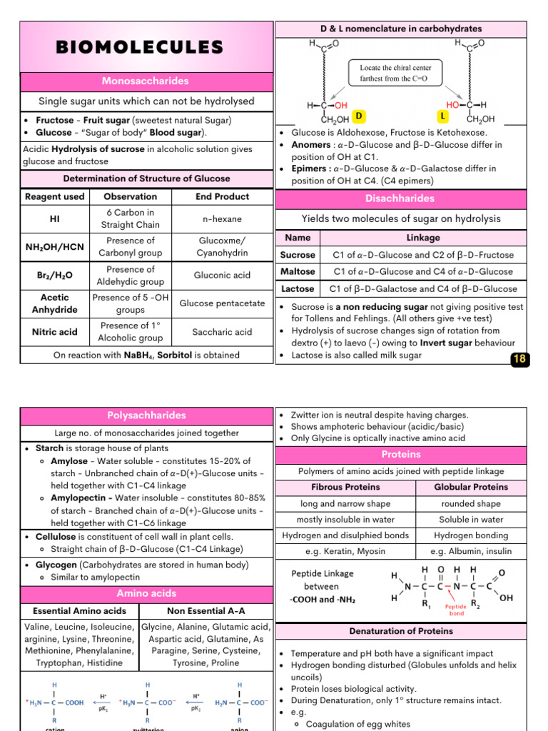 Biomolecules | PDF | Glucose | Hydrolysis