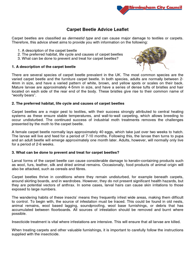 Advice Leaflet Carpet Beetles | PDF | Beetle | Insects