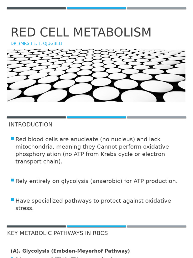 Red cell metabolism(1) | PDF | Red Blood Cell | Glycolysis