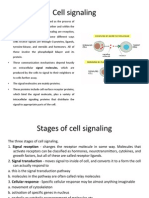 Cell Signaling - Imp