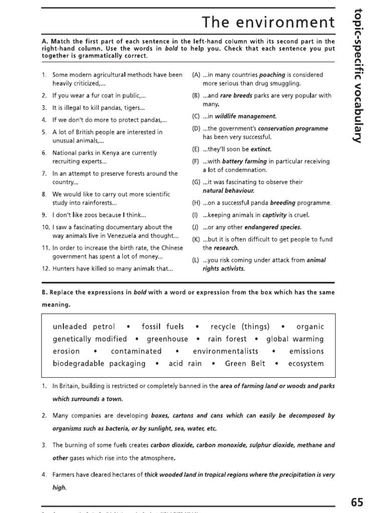 Environment 2 | PDF