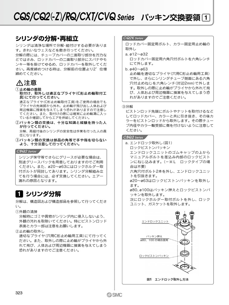 Koukan-Cqs Cq2 RQ CXT CVQ | PDF