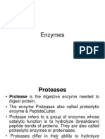 List of Enzymes