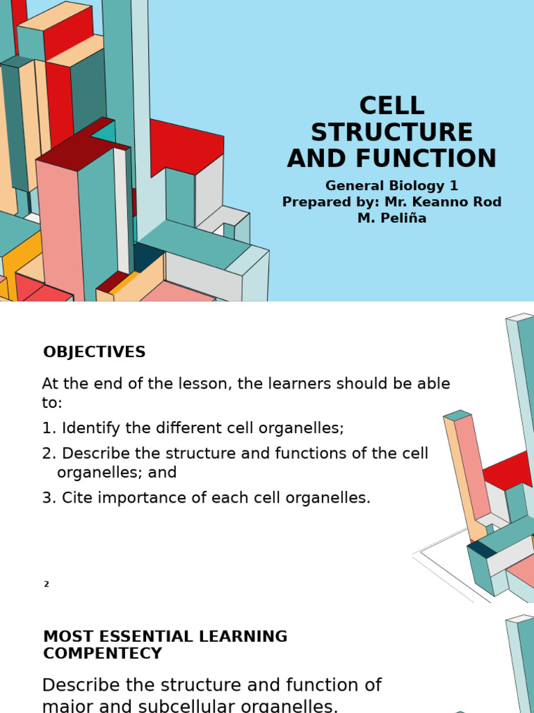 Identifying Cell Organelles and Functions | PDF | Endoplasmic Reticulum ...