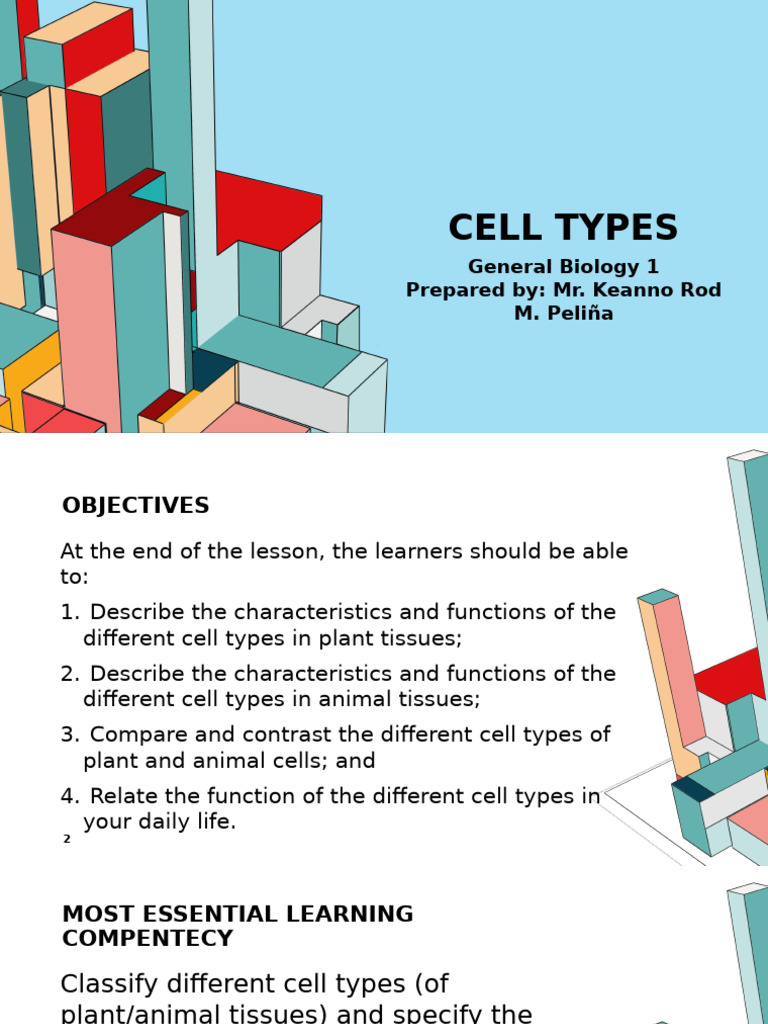 Understanding Plant and Animal Cell Types | PDF | Epithelium | Tissue ...