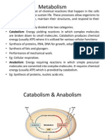 Metabolism - 1