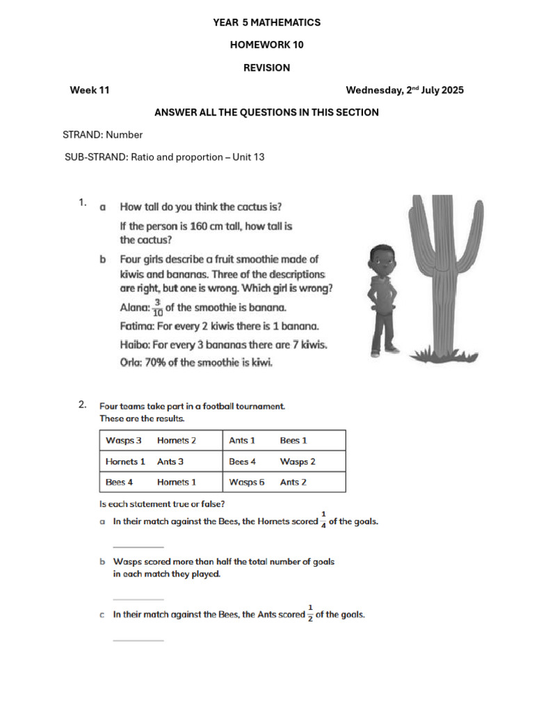 Year 5 Math Homework Revision Guide | PDF