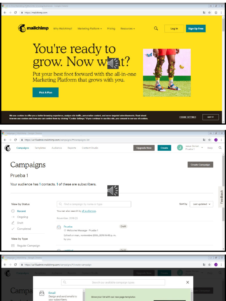 Mailchimp | PDF