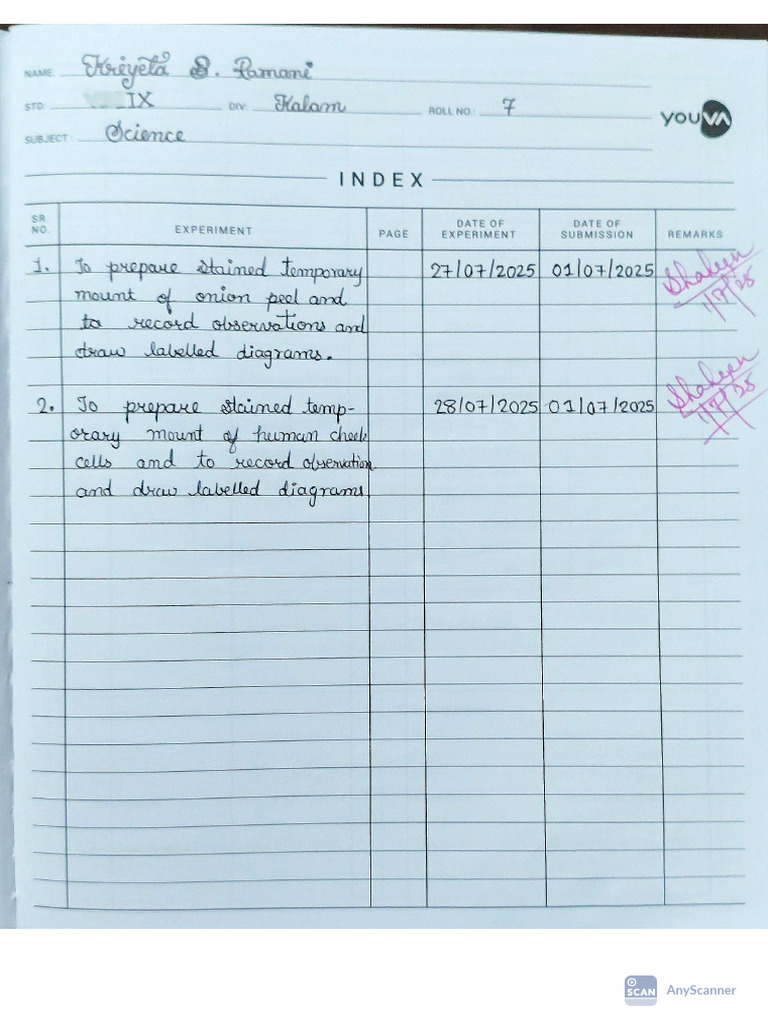 Science Expriment 1,2 | PDF