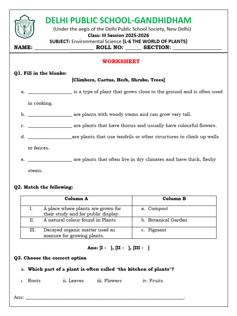 Class 3 Environmental Science: Plants | PDF | Plants | Leaf
