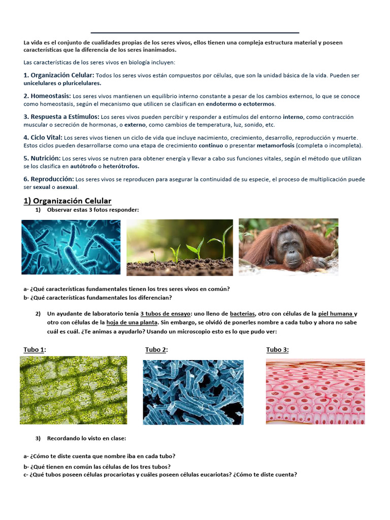 Características Esenciales de los Seres Vivos | PDF | Organismos | Sexo
