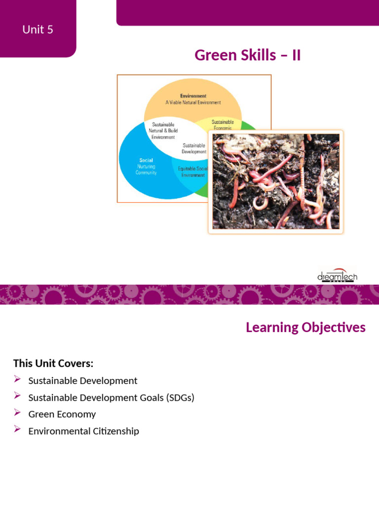 Green Skills for a Sustainable Economy | PDF | Sustainability | Green ...