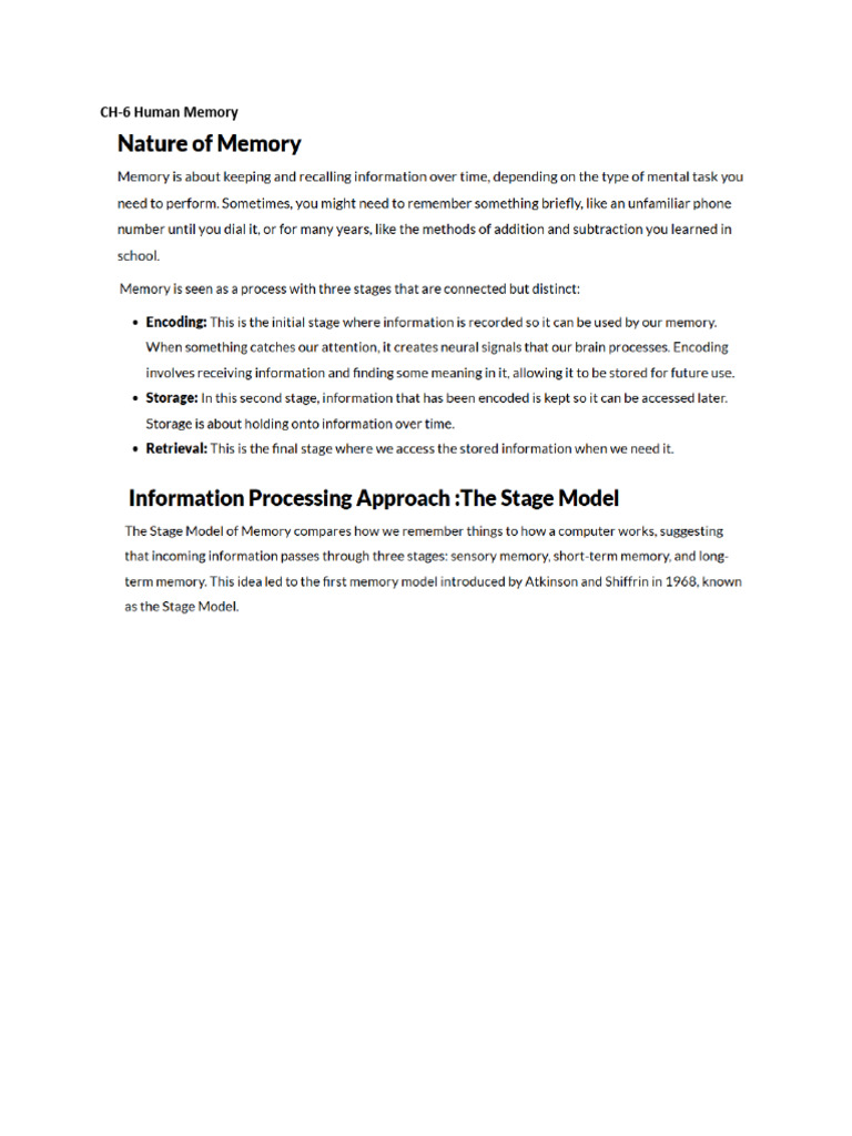 Human Memory | PDF