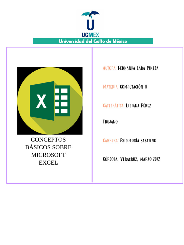 Conceptos Básicos de Microsoft Excel | PDF | Microsoft Excel | Hoja de ...