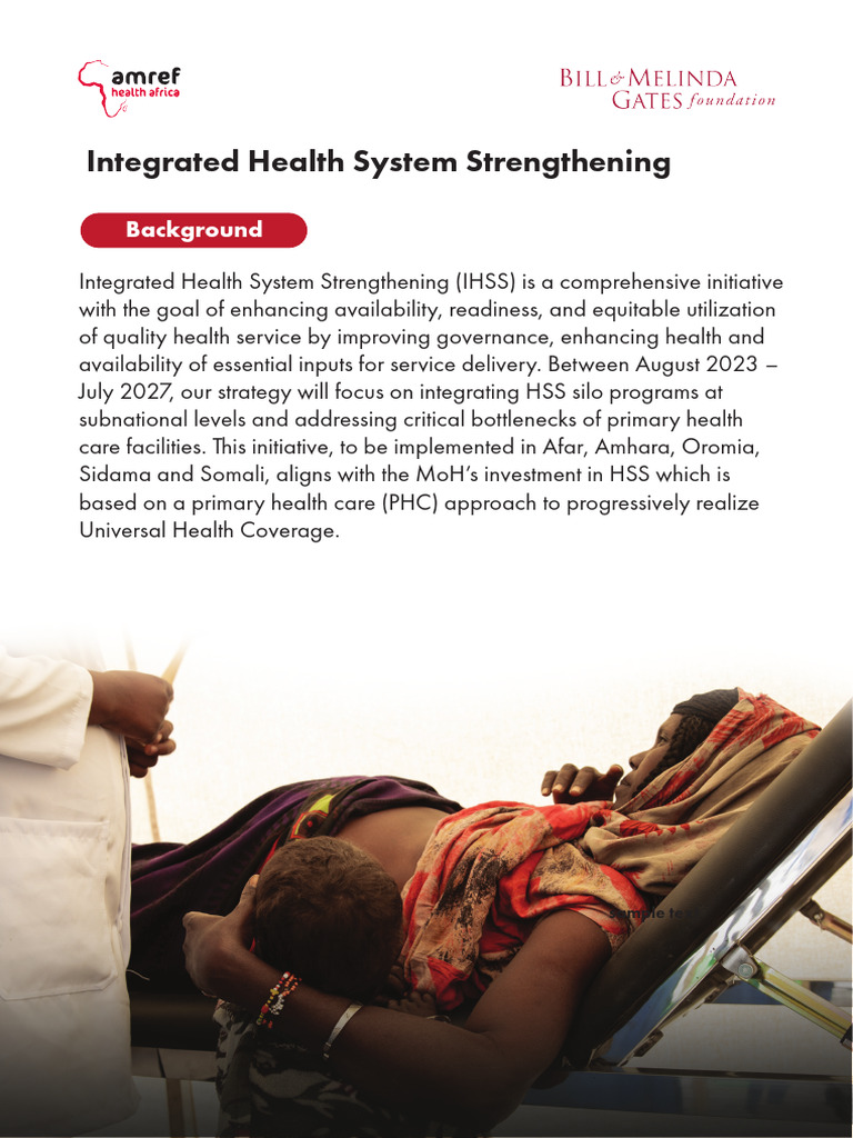 Integrated Health System Strengthening Plan | PDF | Governance | Economies