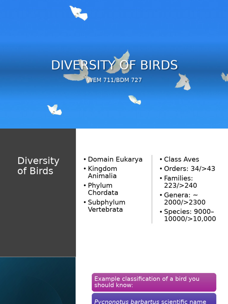 Bird Diversity - Wem 717 | PDF | Species | Homology (Biology)