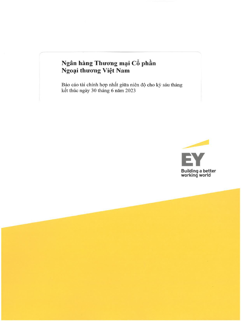 Ernt & Young | PDF