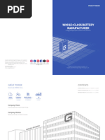 TDSG: India’s Leading Lithium-Ion Battery | PDF | Lithium Ion Battery ...