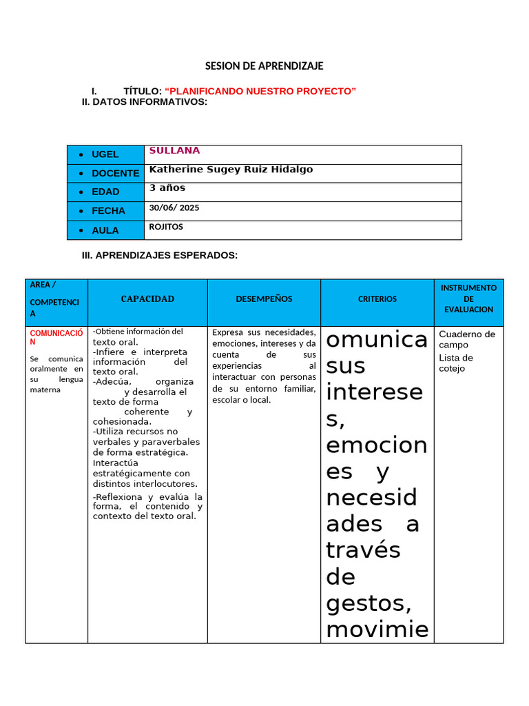 Planificación de Proyecto Educativo | PDF | Evaluación | Aprendizaje