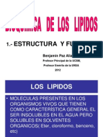 Bioquimica de Los Lipidos - Estructura - Arreglo