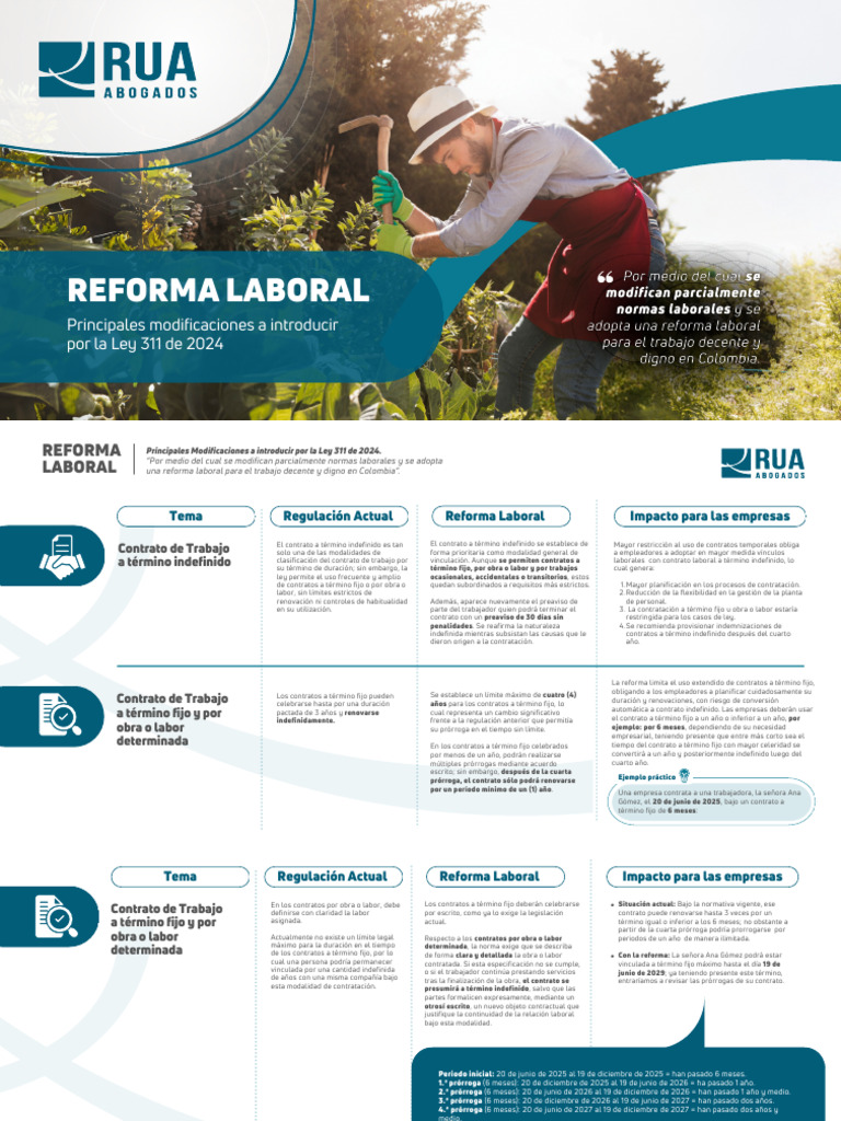 Reforma Laboral (60 X 30 CM) | PDF | Derecho laboral | Salario