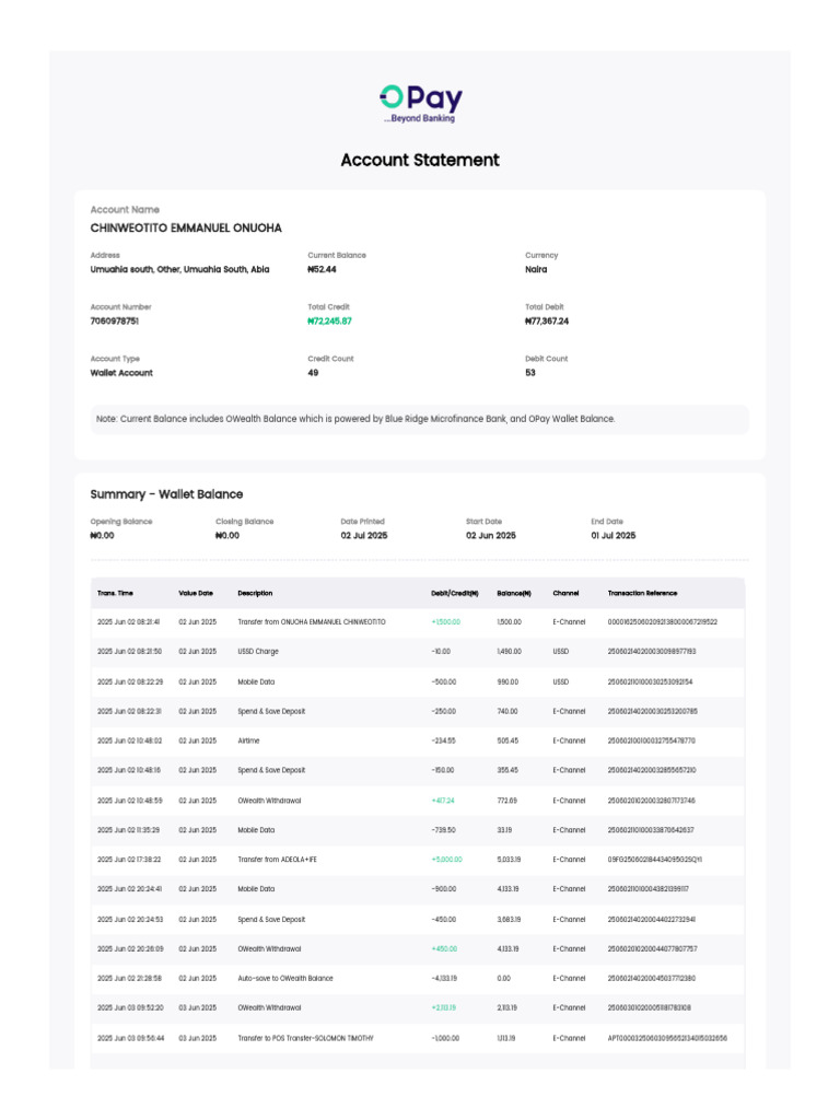 Wallet Account Statement Summary | PDF | Credit Card | Debit Card