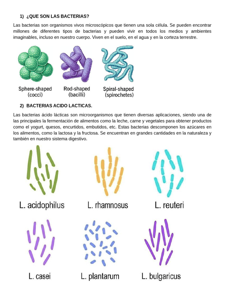 Bacterias Ácido Lácticas y su Hábitat | PDF | Las bacterias | Ácido láctico