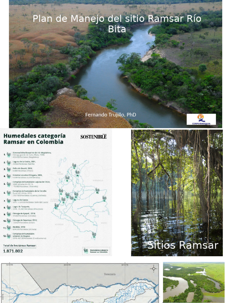 Plan de Manejo del Sitio Ramsar Río Bita | PDF | Humedal | Entorno natural