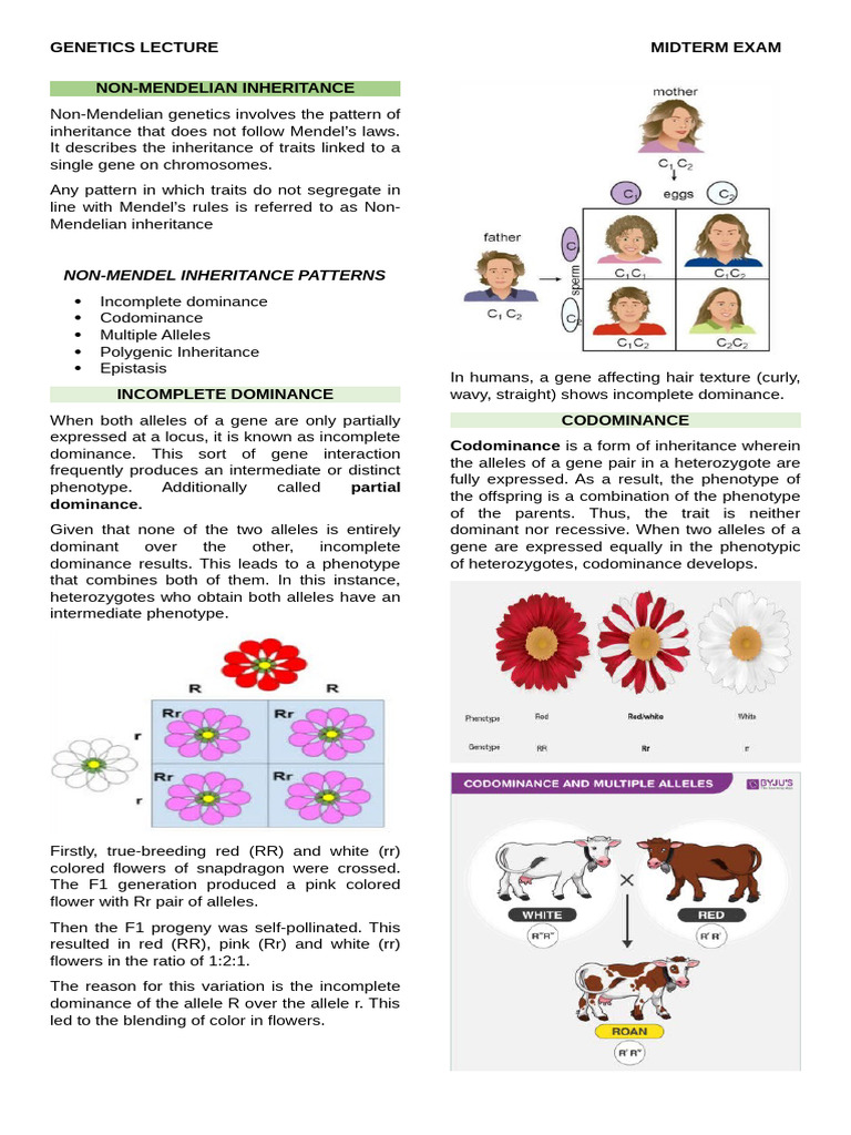 Non-Mendelian Inheritance Patterns Explained | PDF | Dominance ...