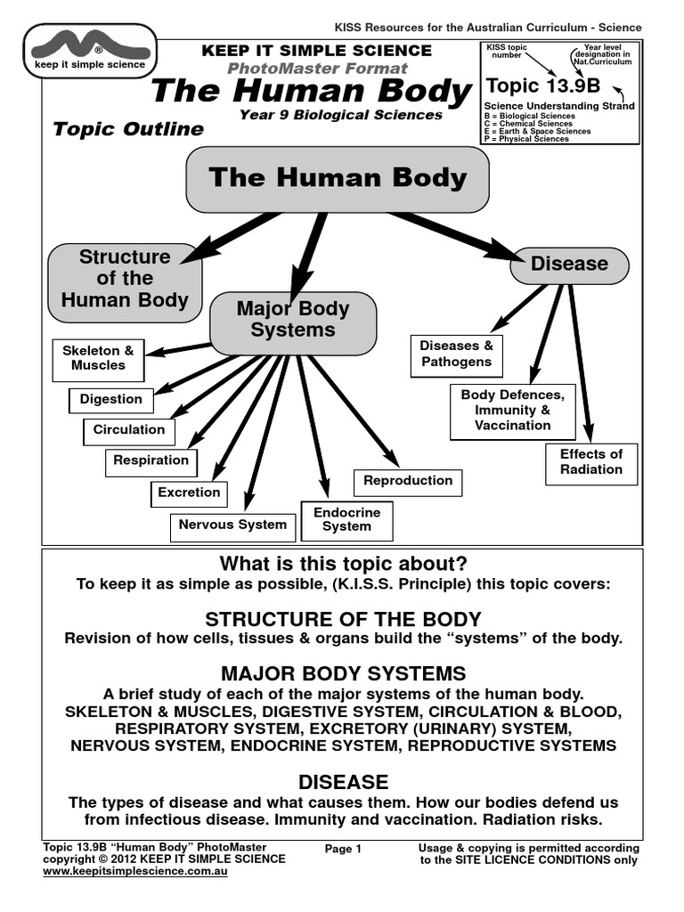 Human Body Overview for Year 9 Science | PDF | Human Body | Digestion