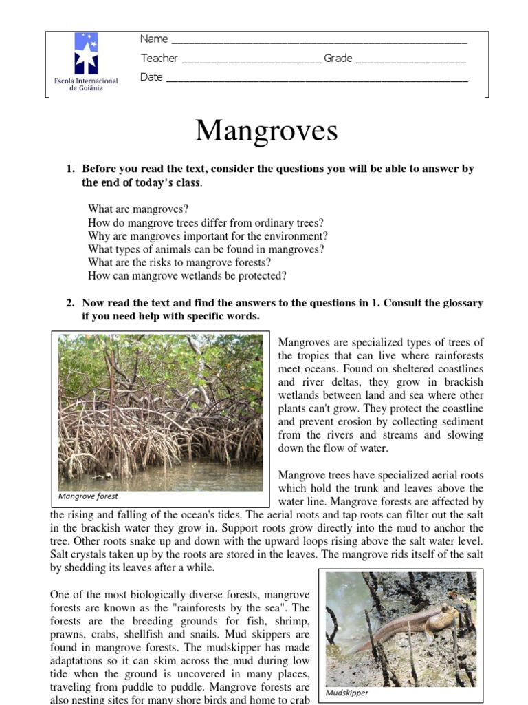 Mangroves: 1. Before You Read The Text, Consider The Questions You Will ...