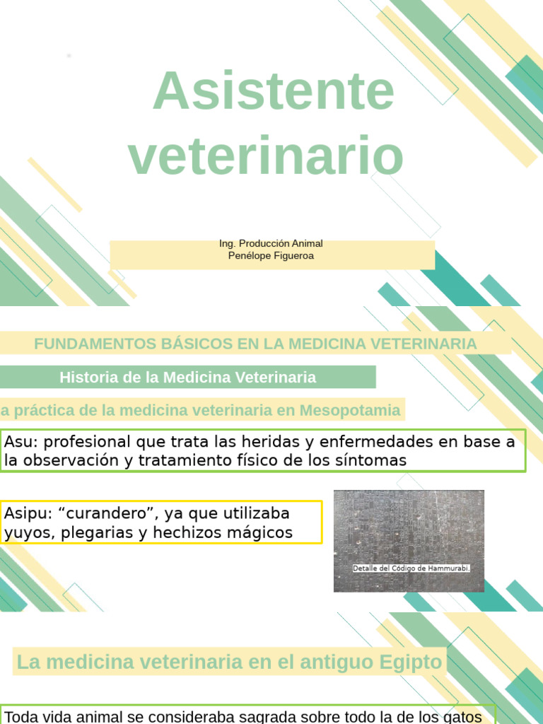 Historia y Fundamentos de Medicina Veterinaria | PDF | Medicina ...