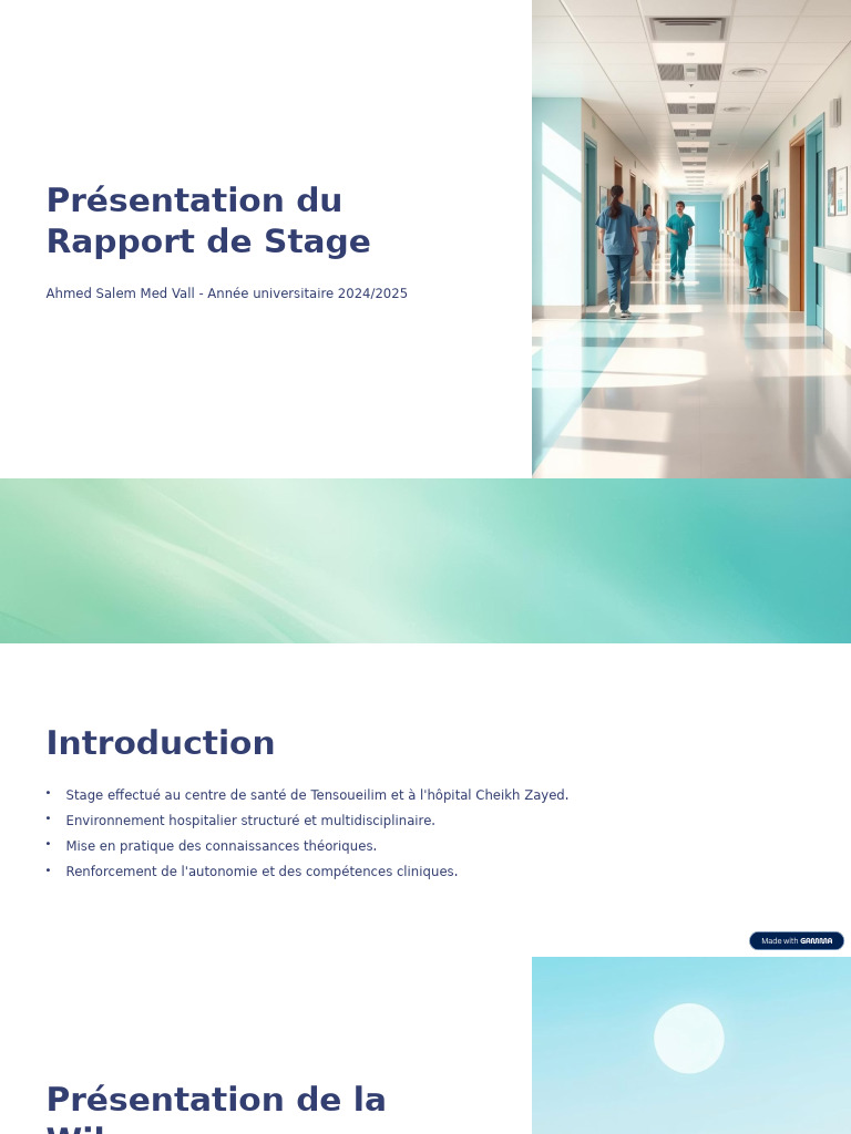 Rapport de Stage en Santé à Nouakchott | PDF