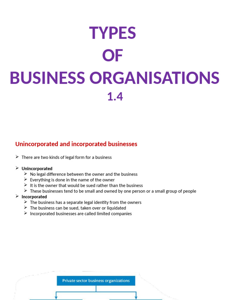 Types of Business Organizations Explained | PDF | Franchising | Partnership