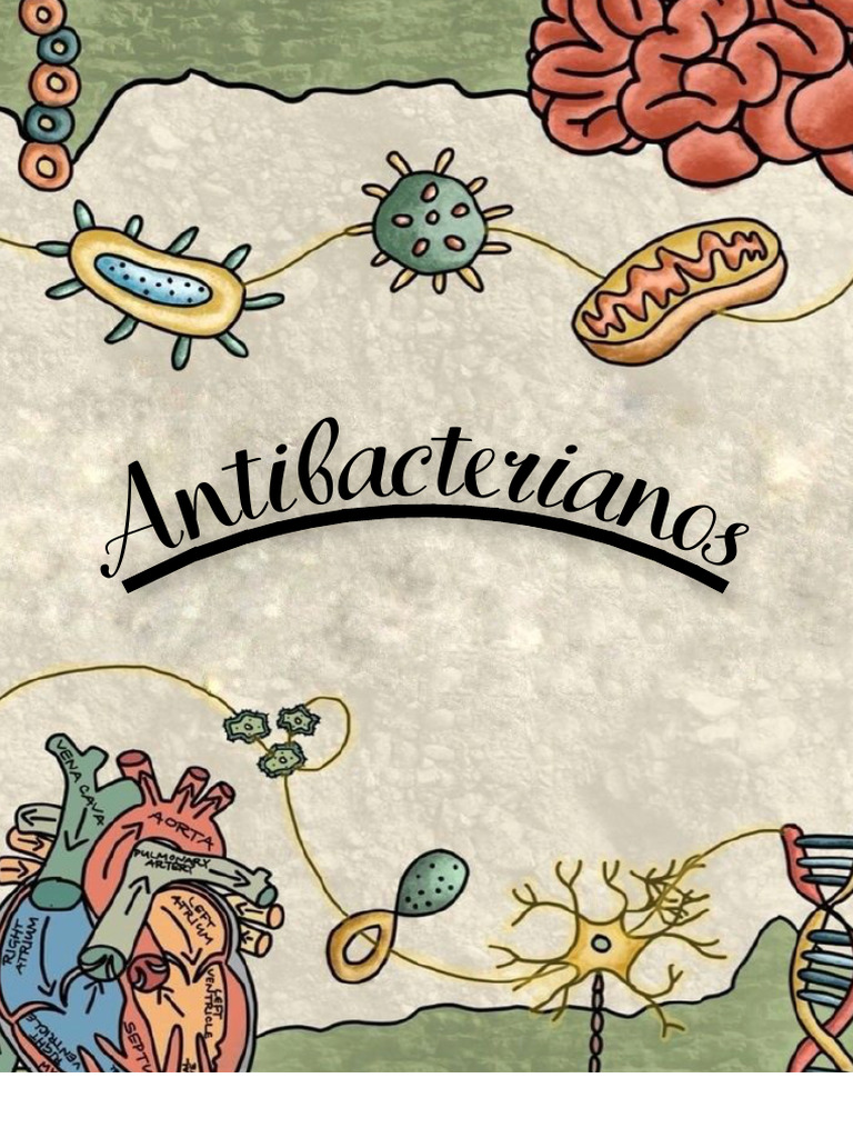 Antibac | PDF