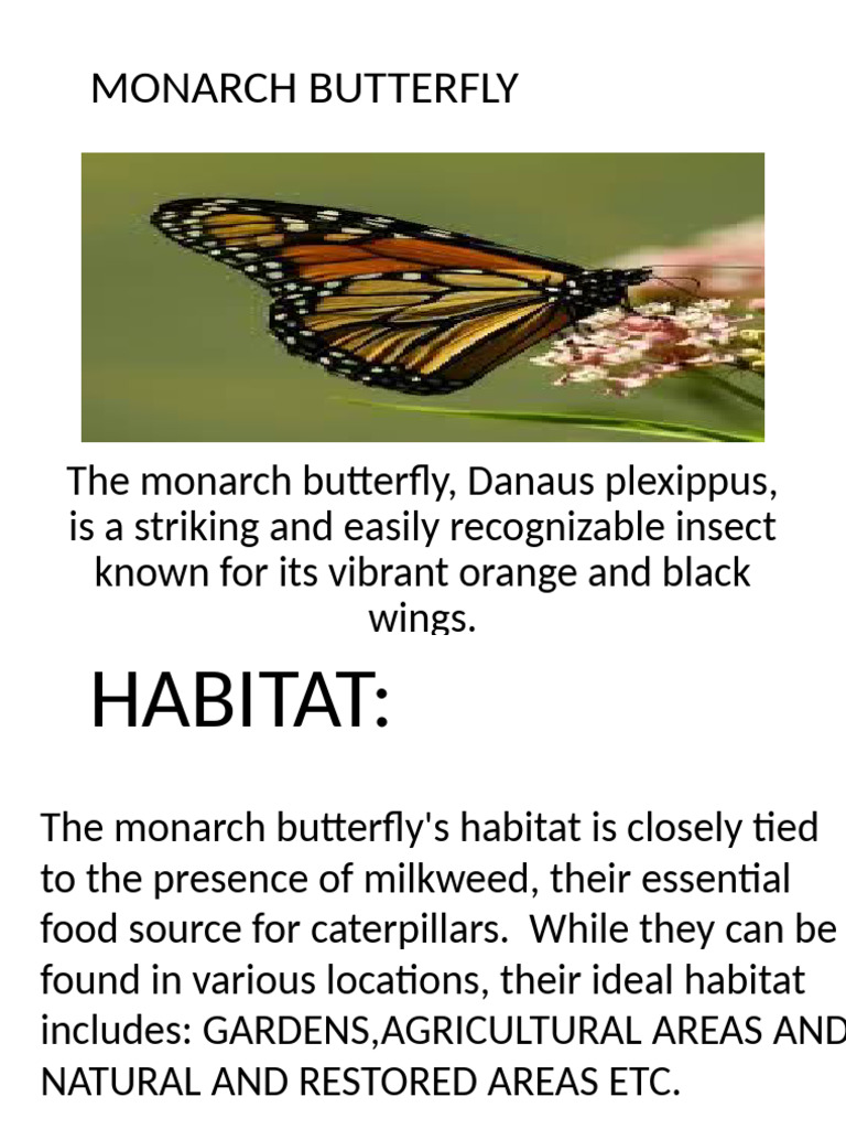 MONARCH BUTTERF-WPS Office | PDF