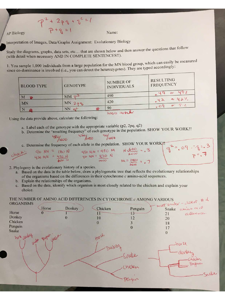 Key - Evolution Review Page 1 | PDF