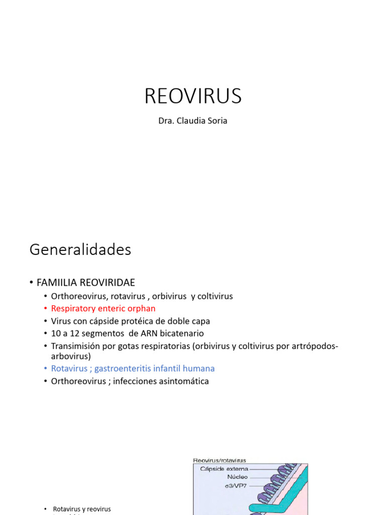 Reovirus Rotavirus | PDF | Virología | Inmunología