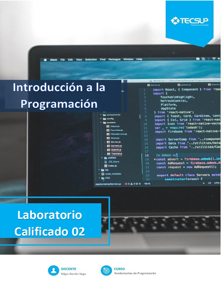 Laboratorio de Programación en Python | PDF | Laboratorios | Python ...