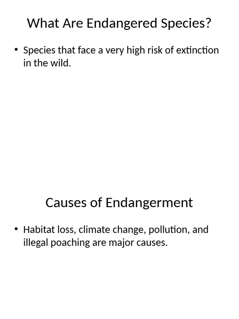 Wildlife Presentation 3 | PDF
