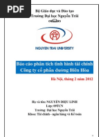 Download Phantich TCDN Cty Duong Bien Hoa by Da Hu SN88572231 doc pdf
