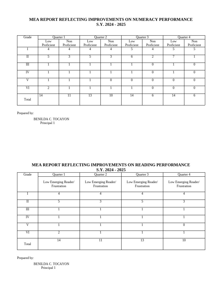 Mea Report Grade 1 To 6 | PDF