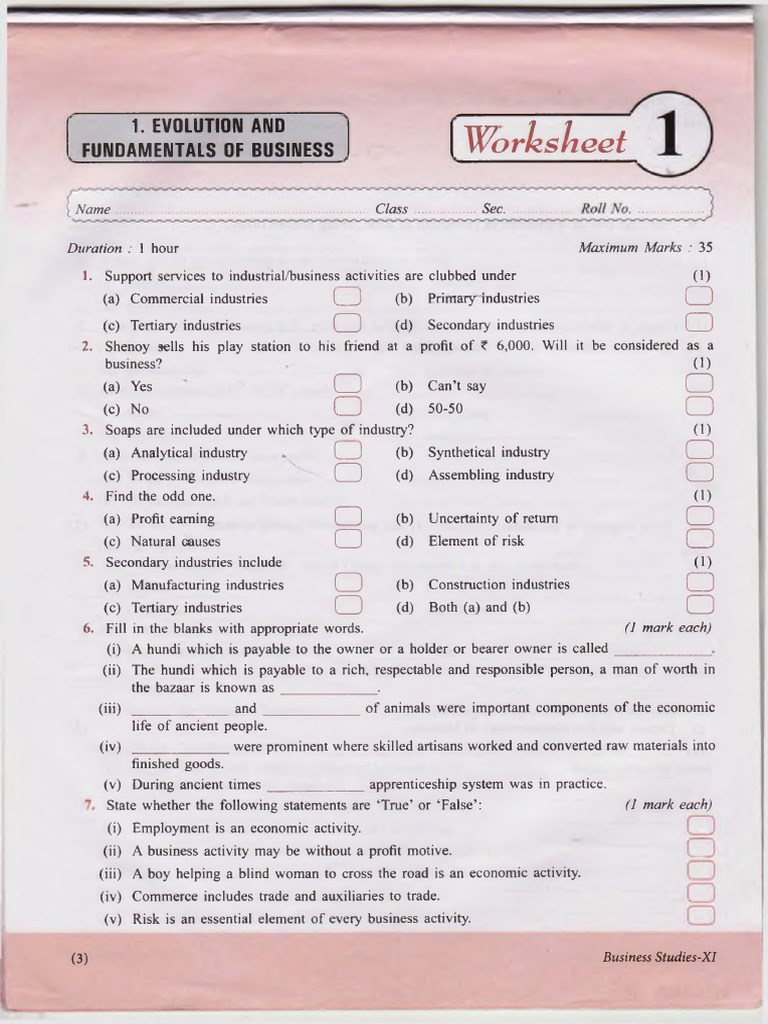 Business Studies (XI) Worksheet | PDF | Insurance | Partnership