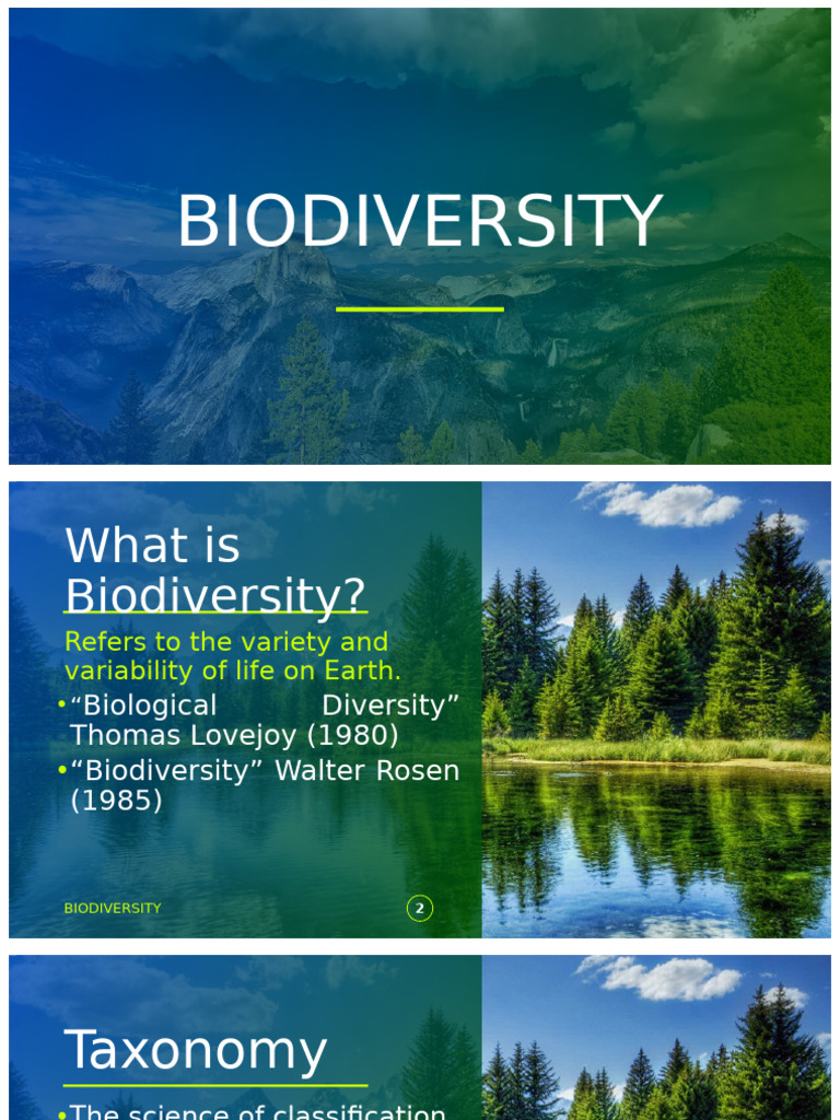 Understanding GMOs and Biodiversity | PDF | Genetically Modified ...