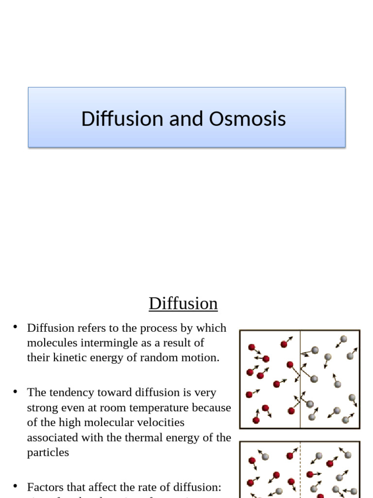 Understanding Diffusion and Osmosis | PDF | Osmosis | Diffusion